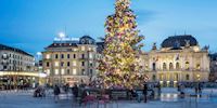 Christmas tree in Zürich, Switzerland